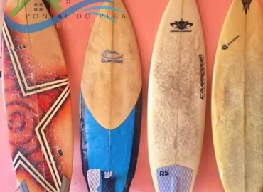 Temporada pontal do peba