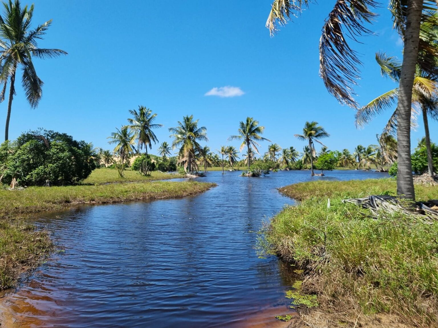 Passeio à Foz Rio São Francisco ( Velho Chico ) 1